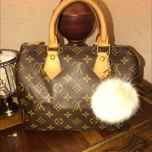 Louis Vuitton Brown and Tan Monogram Bag